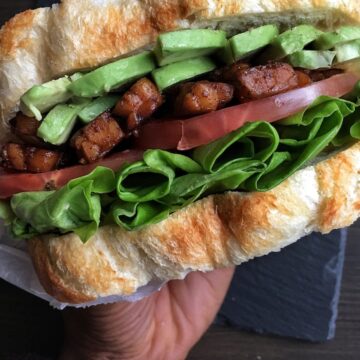 hand holding vegan tempeh sandwich.