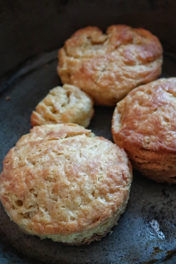 vegan buttermilk biscuits in cast iron pan