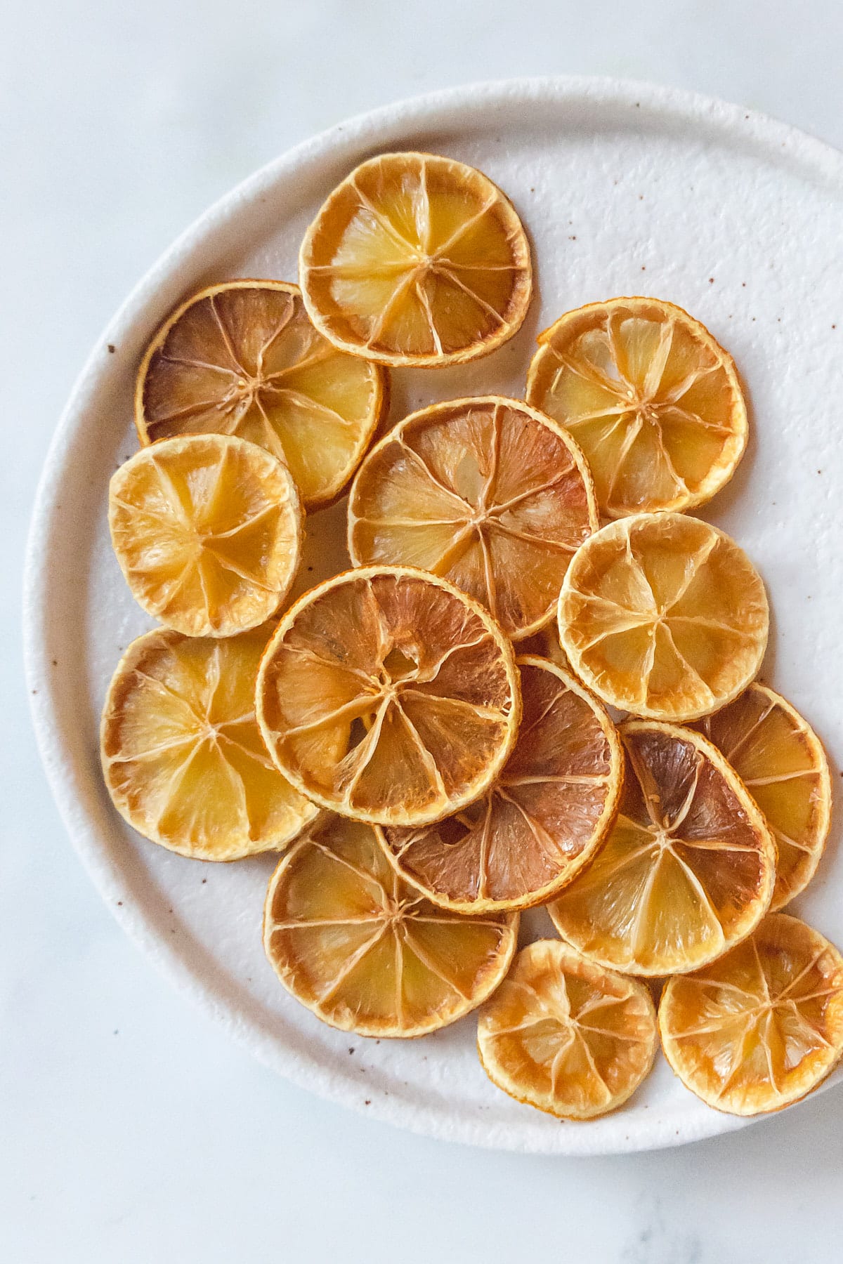 Homemade Dried Lemon Slices - From The Comfort Of My Bowl