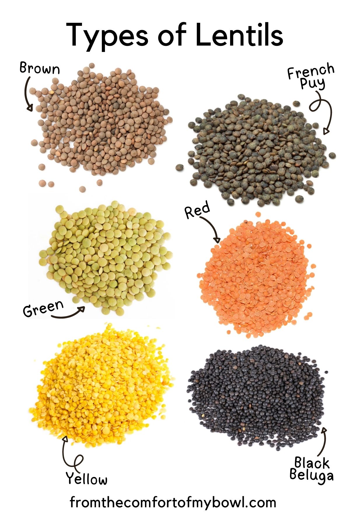 Chart showing different types of lentils.